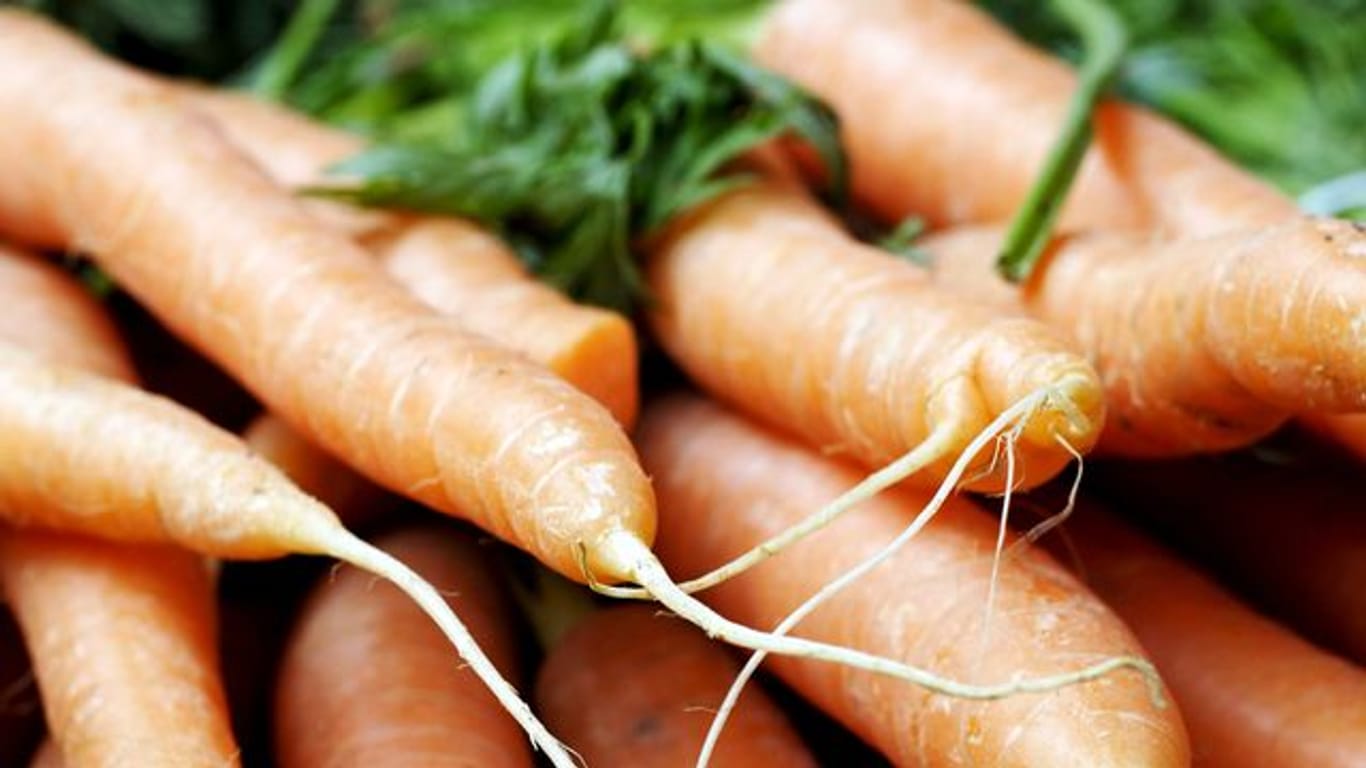 Weiche Karotten: Sie lassen sich wieder auffrischen, indem sie über Nacht in ein Wasserglas gestellt werden.