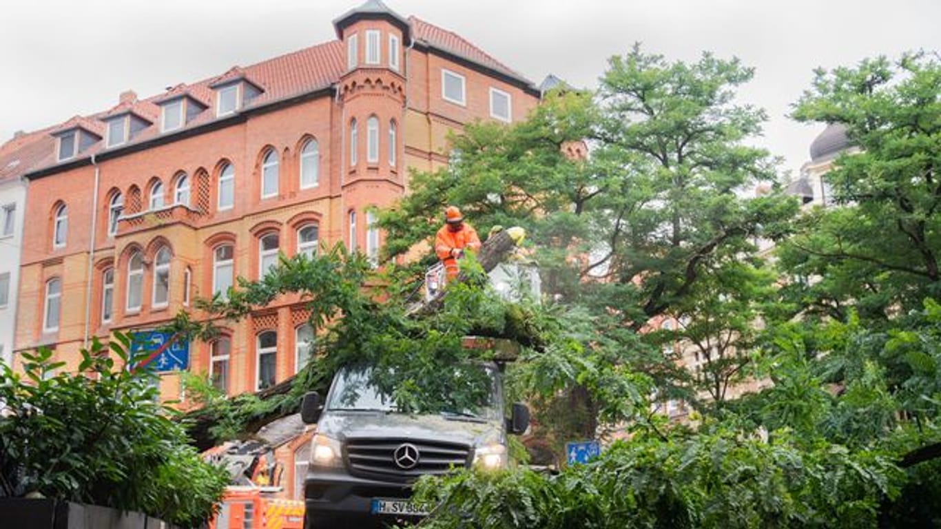 Feuerwehrkräfte zersägen einen Baum: Er war auf einen Kleintransporter gestürzt.