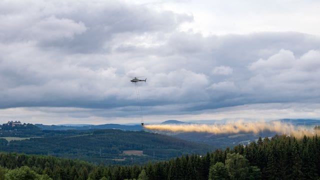 Kalk-Kur für Wälder