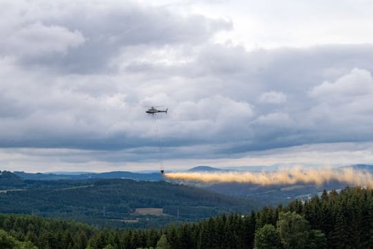 Kalk-Kur für Wälder