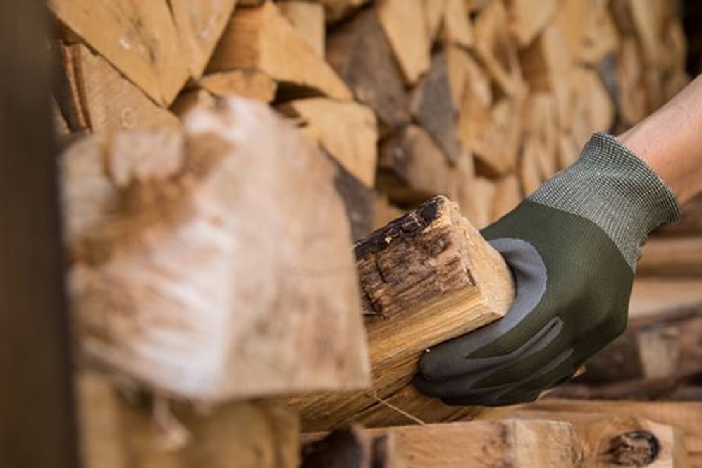 Frisch geschlagenes Brennholz: Es muss zunächst trocknen, am besten gestapelt an einem wettergeschützten Platz.