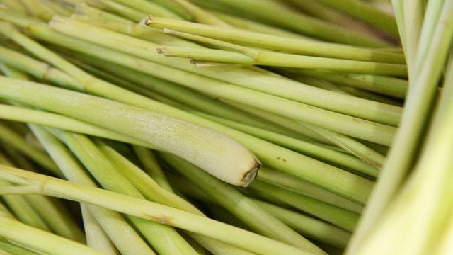 Beim Kochen mit Zitronengras müssen die äußeren harten Blätter entfernt werden.