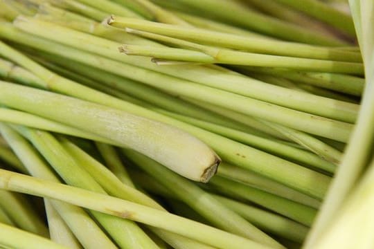 Beim Kochen mit Zitronengras müssen die äußeren harten Blätter entfernt werden.