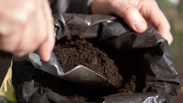 Blumenerde: Die Erde kauft man oft in großen Säcken – und die liegen dann ewig zu Hause rum.