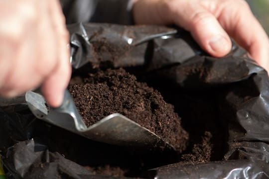 Blumenerde: Die Erde kauft man oft in großen Säcken – und die liegen dann ewig zu Hause rum.