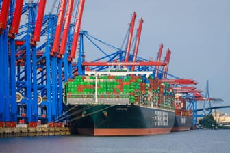 Containerschiff im Hamburger Hafen (Symbolbild): Die Preise für importierte Rohstoffe und Waren ist im Juli auf ein neues Rekordhoch gestiegen.