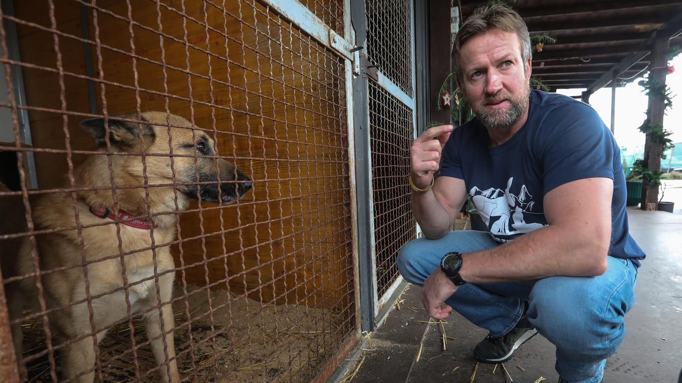 Paul Farthing vor einem Hundekäfig: Er nahm seine Tiere mit zu dem Evakuierungsflug.