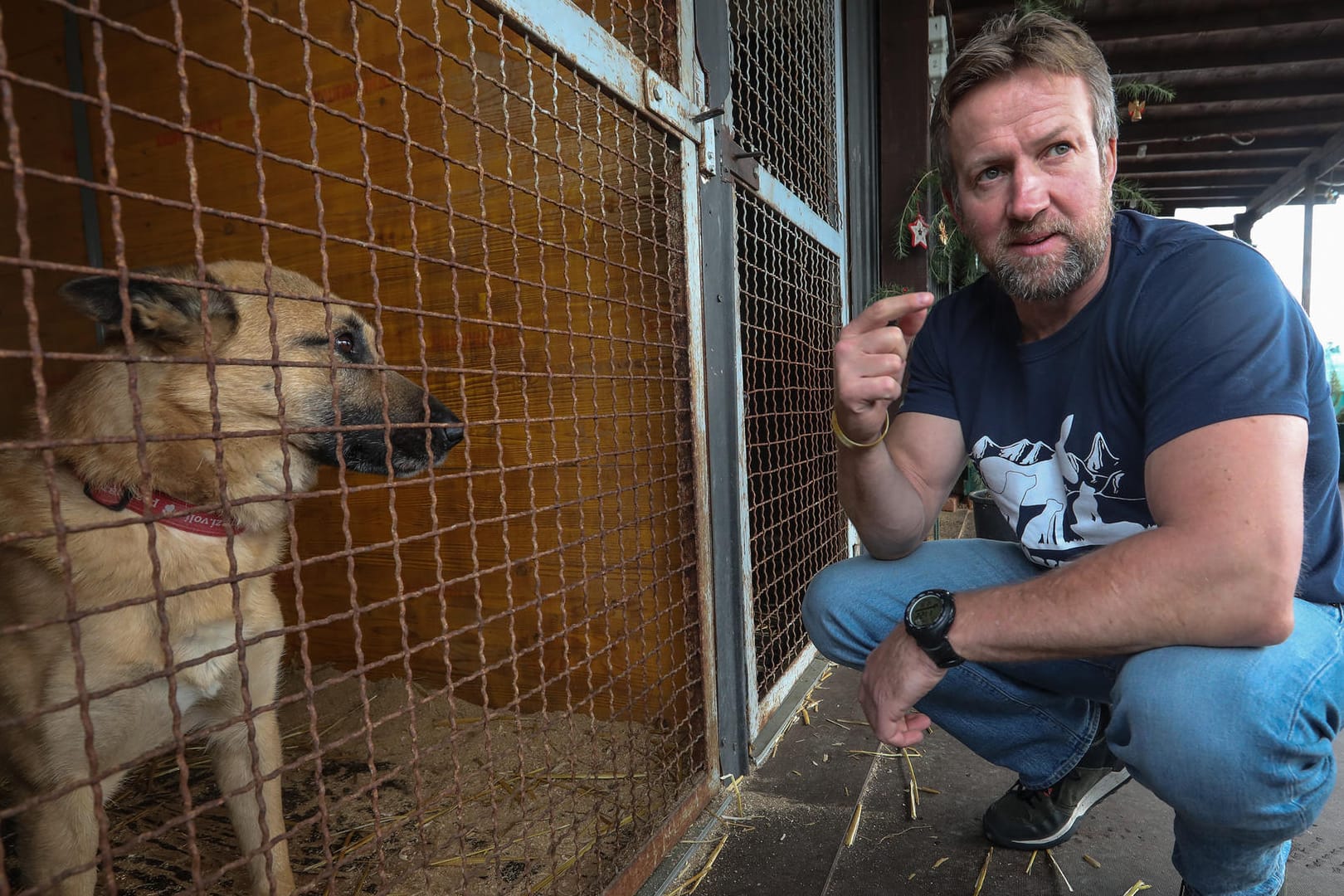 Paul Farthing vor einem Hundekäfig: Er nahm seine Tiere mit zu dem Evakuierungsflug.