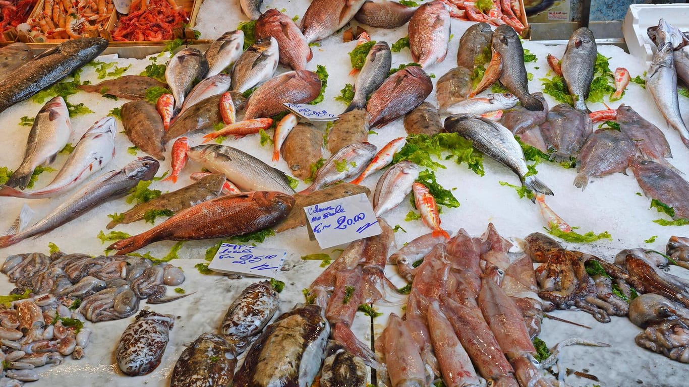 Fisch und Meeresfrüchte: Vergleichsweise hohe Bleigehalte wurden in der Vergangenheit in Algen, Fisch, Meeresfrüchten und Nahrungsergänzungsmitteln nachgewiesen.