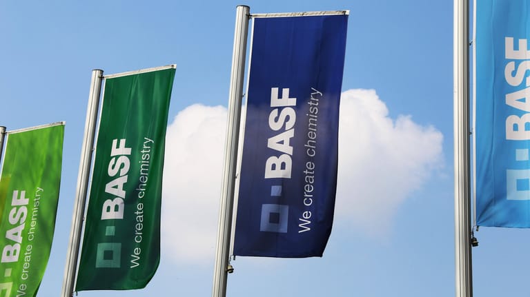 Flaggen der BASF beim Werksgelände Ludwigshafen (Symbolbild): Der Chemiekonzern musste seine größte Niederlassung in den USA vorübergehend wegen eines Hurricanes schließen.
