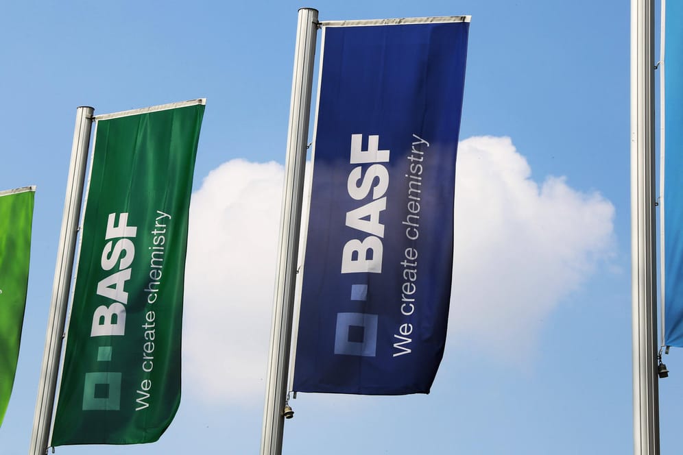 Flaggen der BASF beim Werksgelände Ludwigshafen (Symbolbild): Der Chemiekonzern musste seine größte Niederlassung in den USA vorübergehend wegen eines Hurricanes schließen.