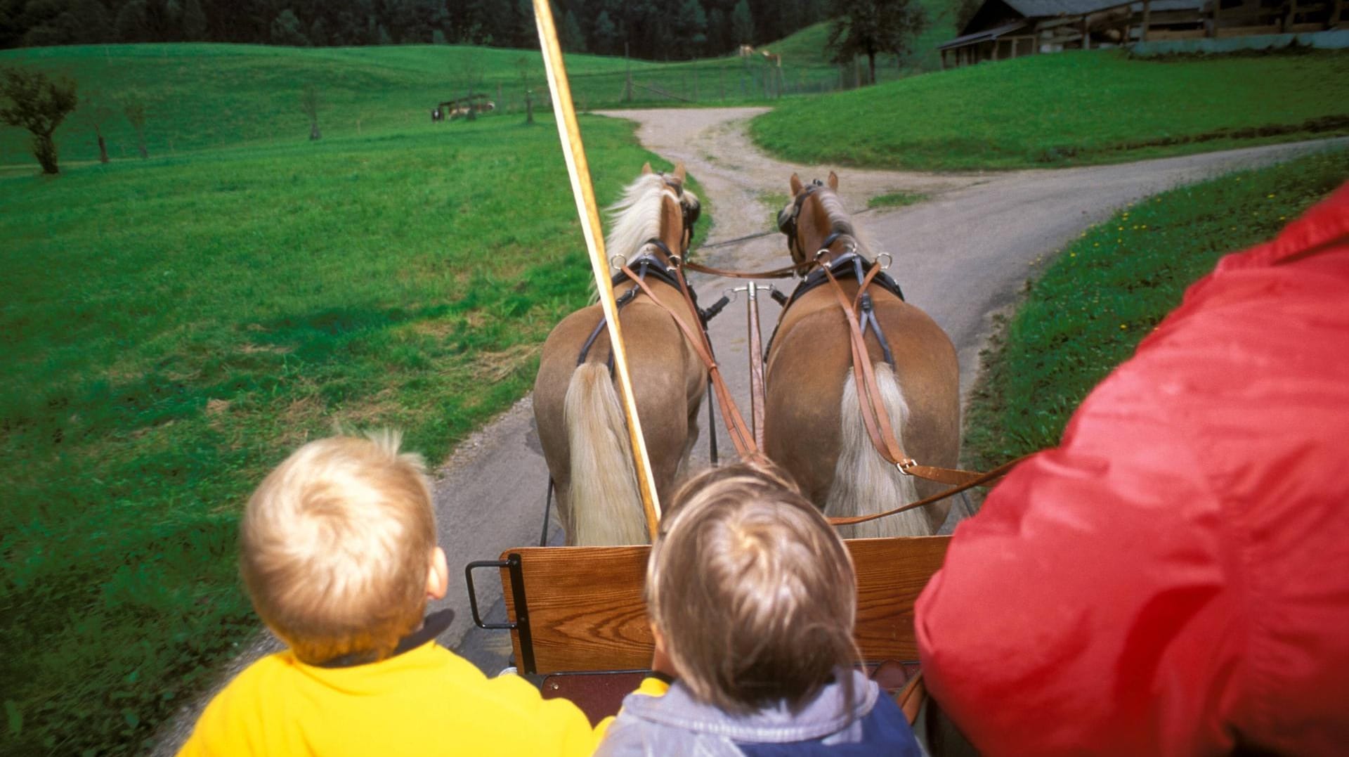 Kinder sitzen mit dem Kutscher auf einer Pferdekutsche (Symbolbild): In Wiehl nahe Köln kam es zu einem Unfall, bei dem ein Kleinkind von einer Pferdekutsche gefallen ist.