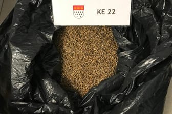 Die sichergestellten Cannabissamen in einem Plastiksack: Mehr als 2,3 Millionen der Samen gingen dem Zoll in die Fänge.