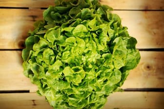 Damit sich ein Salatkopf ein paar Tage im Kühlschrank hält, sollte er in ein feuchtes Tuch gewickelt werden.