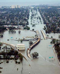 2005: Durch den Hurrikan Katrina klettert der Kraftstoffpreis auf neue Rekordhöhen: Super war zeitweise sogar teurer als 1,40 Euro. Im Schnitt kostet Normalbenzin 1,19 Euro, Super 1,21 Euro und Diesel 1,06 Euro.