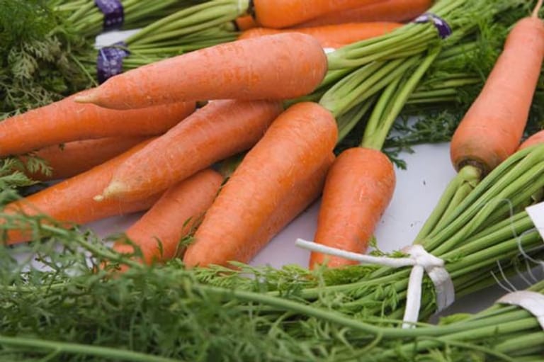 Lebensmittel für die Augen: Karotten sind reich an Beta-Carotin.