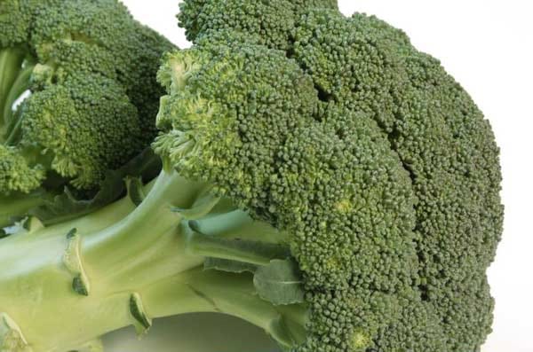 Lebensmittel für die Augen: Brokkoli ist reich an Vitamin A und C.