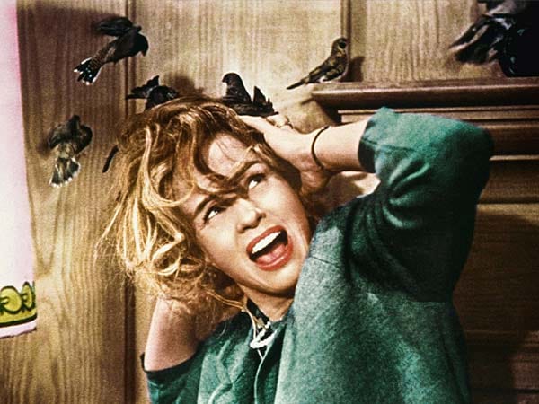 Nicht weniger legendär ist sein Film "Die Vögel" mit Hauptdarstellerin Tippi Hedren, den Hitchcock drei Jahre später produzierte. Bei dem Dreh erlitt Hedren im Zuge einer nicht abgesprochenen Vogelattacke einen Nervenzusammenbruch. (