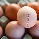 Für zehn Eier musste 1991 noch 8 Minuten gearbeitet werden, im Jahr 2012 waren es nur noch 7 Minuten (Quelle: IW)