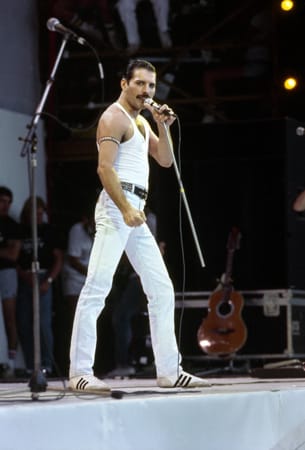 Freddie Mercury (
