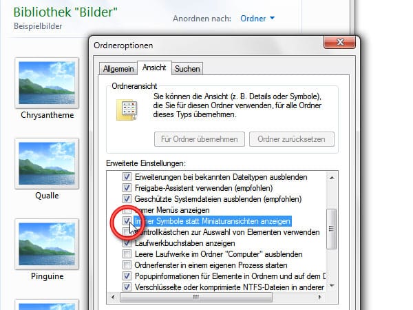 Symbole statt Miniaturansichten im Windows Explorer anzeigen. (Screenshot: t-online.de)