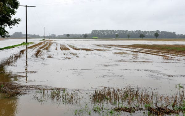 Unwetter über Deutschland: Viele Felder in der Umgebung glichen noch am Freitag einer Seenlandschaft. (