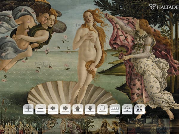 Die Gesamtansicht der bekannten Venus von Botticelli. (Screenshot: t-online.de)