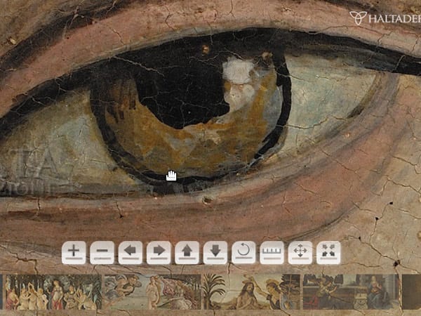 So tief kann kein Museumsbesucher der Venus ins Auge schauen. Risse in der Farbschicht und kleine Löcher in der Leinwand sind deutlich zu sehen. (Screenshot: t-online.de)