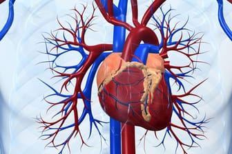 Herzkrankheiten: Eine gesunde Lebensweise hält unser Herz gesund.