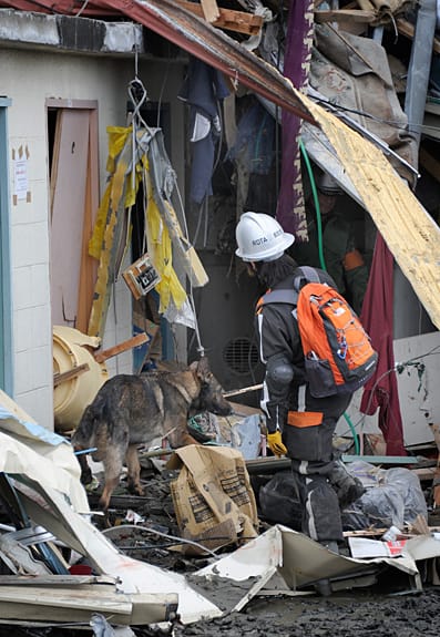 Rettungsteams und Rettungshunde suchen in Japan nach Opfern. Rettungsteams und Rettungshunde suchen in Japan nach Opfern.