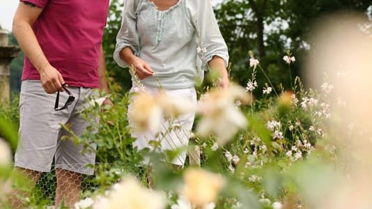 Bundesgartenschau 2011 in Koblenz: Sommerlanges Blütenfest für die ganze Familie. (Bild: Bundesgartenschau Koblenz 2011 GmbH, Marcus Gloger)