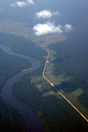 Der tropische Regenwald in Brasilien erstreckt sich über mehr als fünf Millionen Quadratkilometer. Seit Jahren kämpfen Umweltschützer gegen die Zerstörung der "Grünen Lunge" der Welt. (