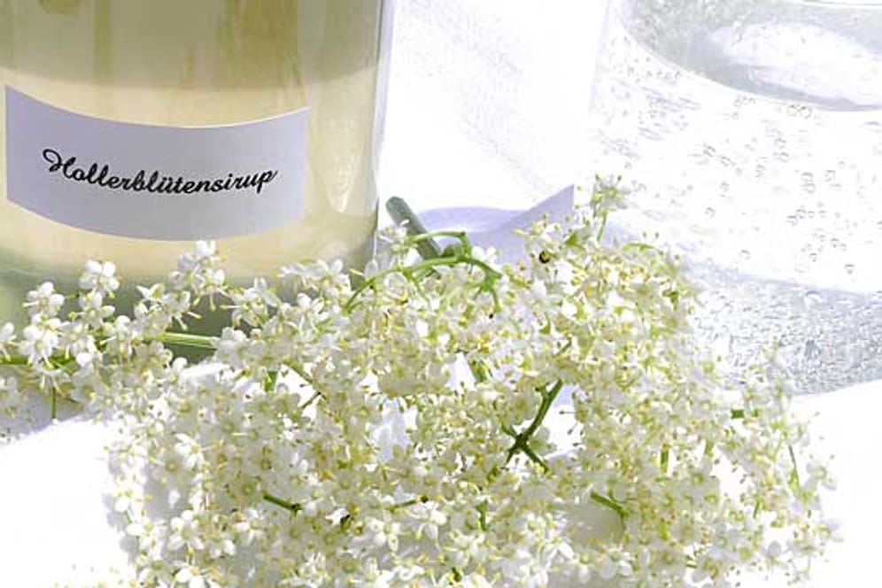 Holunderblütensirup selber machen: So einfach geht's.