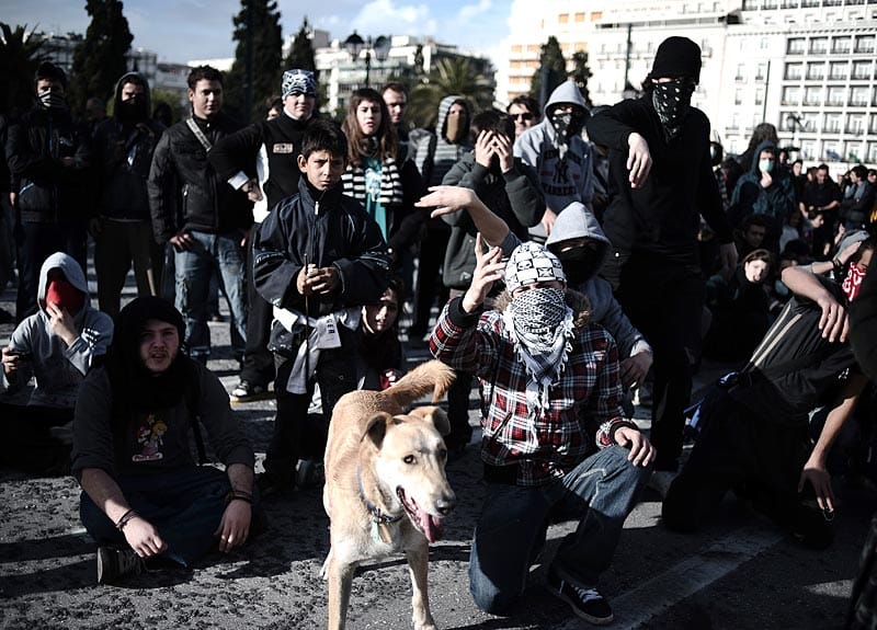 Der Athener "Riot Dog“ taucht auf fast jeder Demonstration in der Hauptstadt auf und stürzt sich unerschrocken in das Getümmel. ( Der Athener "Riot Dog“ taucht auf fast jeder Demonstration in der Hauptstadt auf und stürzt sich unerschrocken in das Getümmel. (