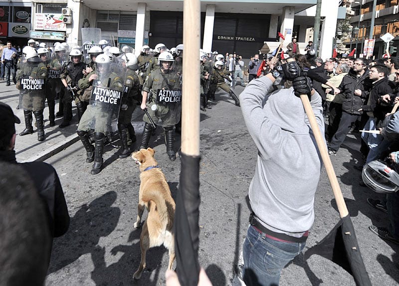 Der Athener "Riot Dog“ taucht auf fast jeder Demonstration in der Hauptstadt auf und stürzt sich unerschrocken in das Getümmel. ( Der Athener "Riot Dog“ taucht auf fast jeder Demonstration in der Hauptstadt auf und stürzt sich unerschrocken in das Getümmel. (