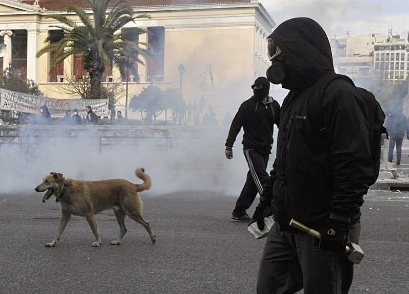 Der Athener "Riot Dog“ taucht auf fast jeder Demonstration in der Hauptstadt auf und stürzt sich unerschrocken in das Getümmel. ( Der Athener "Riot Dog“ taucht auf fast jeder Demonstration in der Hauptstadt auf und stürzt sich unerschrocken in das Getümmel. (