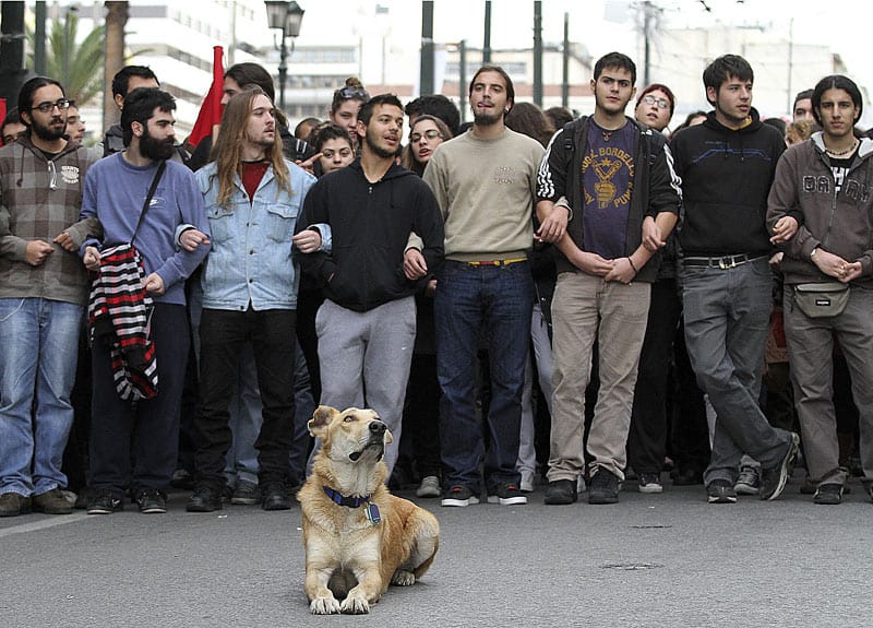 Der Athener "Riot Dog“ taucht auf fast jeder Demonstration in der Hauptstadt auf und stürzt sich unerschrocken in das Getümmel. ( Der Athener "Riot Dog“ taucht auf fast jeder Demonstration in der Hauptstadt auf und stürzt sich unerschrocken in das Getümmel. (