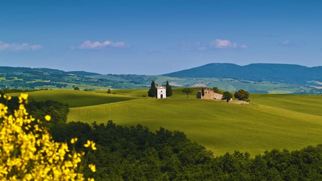 Ob Berge, Küste, Feld und Wald, Landschaften sind sehr interessante Fotomotive.