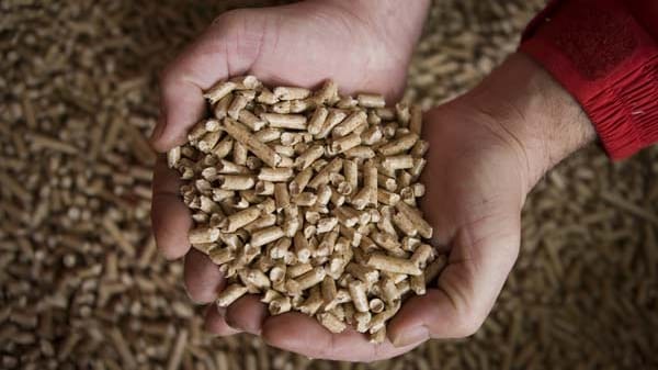 Holzpellets: Die Preise für Pellets haben sich diesen Herbst in eine ungewöhnliche Richtung entwickelt.