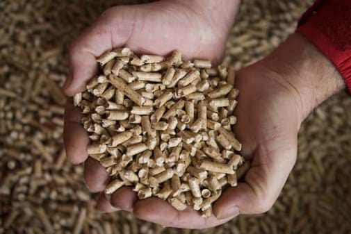 Holzpellets: Die Preise für Pellets haben sich diesen Herbst in eine ungewöhnliche Richtung entwickelt.