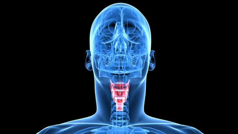 Schilddrüse: Die Schilddrüse sitzt unterhalb des Kehlkopfes.