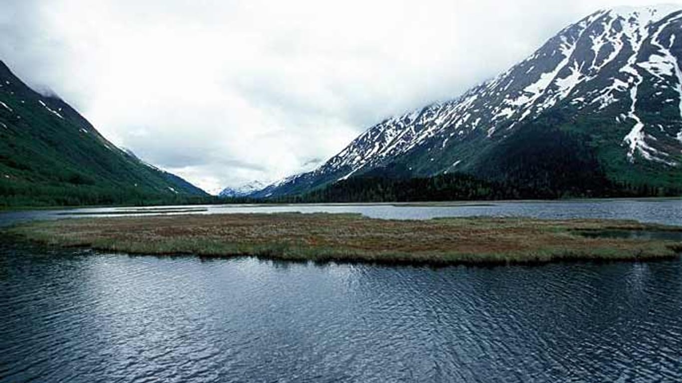 Der Kenai River ist vor allem bei all jenen beliebt, die die raue Landschaft Alaskas schätzen - oder auf der Jagd nach einem guten Fang sind. Denn in dem Fluss leben Lachse, die bis zu 39 Kilogramm wiegen. (