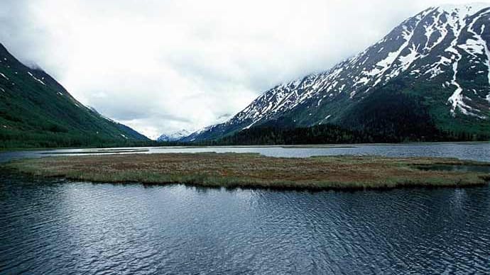 Der Kenai River ist vor allem bei all jenen beliebt, die die raue Landschaft Alaskas schätzen - oder auf der Jagd nach einem guten Fang sind. Denn in dem Fluss leben Lachse, die bis zu 39 Kilogramm wiegen. (