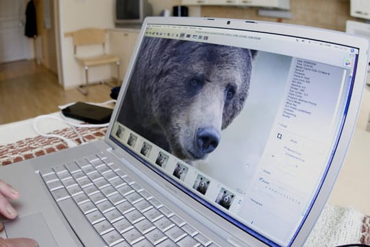 Auch kostenlose Bildbearbeitung bietet zahlreiche Features (