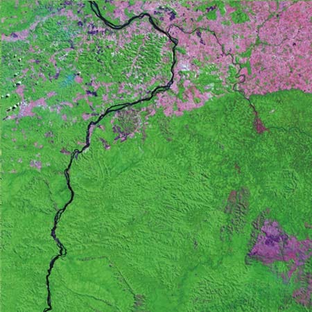 Sul Do Pará 14 Jahre später: Ein großes Gebiet (violett) ist inzwischen gerodet worden. (