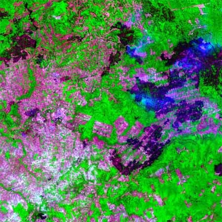 Mato Grosso do Sul im Jahr 2010: Vom einst zusammenhängenden Regenwald sind nur noch Splitter geblieben. (