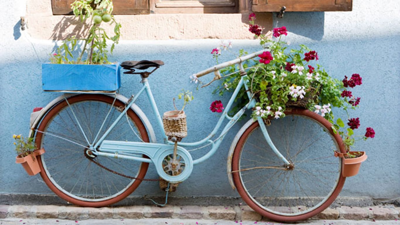 Dekoidee für die Terrasse: Bepflanzen Sie ein altes Fahrrad
