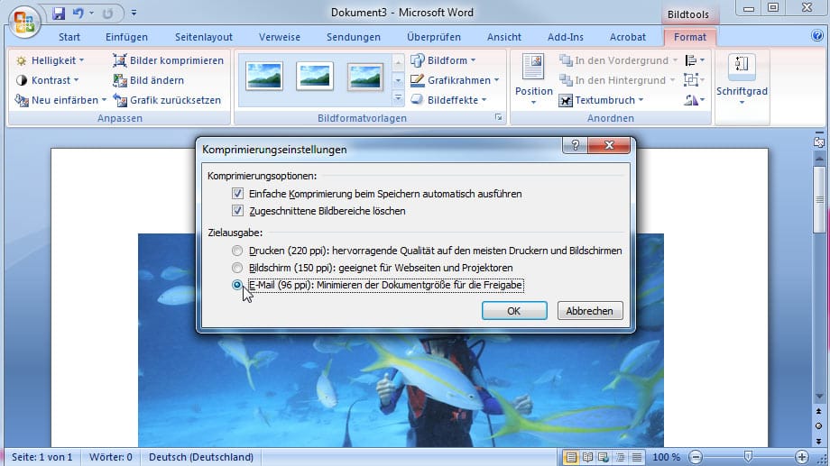 Komprimierungseinstellungen in Microsoft Word