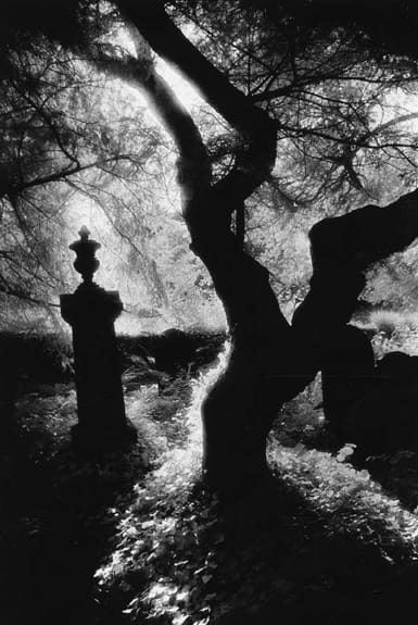 Friedhof von Nervern, Pembrokeshire, Wales. Friedhof von Nervern, Pembrokeshire, Wales.