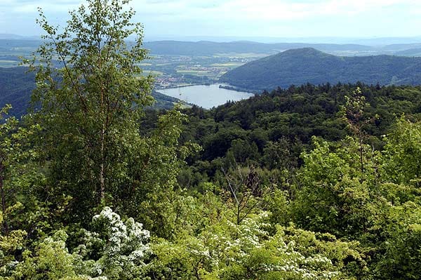 Ein Paradies für Wanderer und Naturliebhaber - der Nationalpark Kellerwald-Edersee.